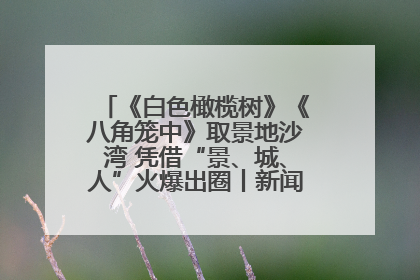 《白色橄榄树》《八角笼中》取景地沙湾 凭借“景、城、人”火爆出圈丨新闻发布最前线