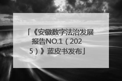 《安徽数字法治发展报告NO.1（2025）》蓝皮书发布