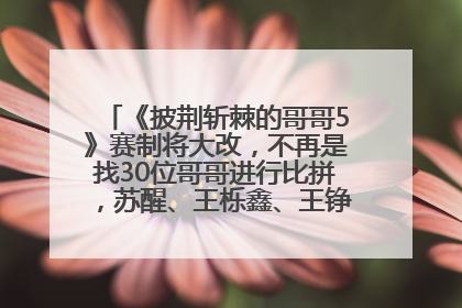 《披荆斩棘的哥哥5》赛制将大改，不再是找30位哥哥进行比拼，苏醒、王栎鑫、王铮亮、张远等多名男团选手被曝将参加