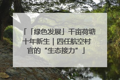 「绿色发展」千亩荷塘 十年新生｜四任航空村官的“生态接力”