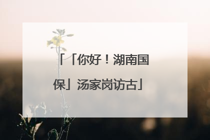 「你好！湖南国保」汤家岗访古
