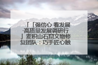 「强信心 看发展·高质量发展调研行」麦积山石窟文物修复团队：巧手匠心触摸“光阴的故事”