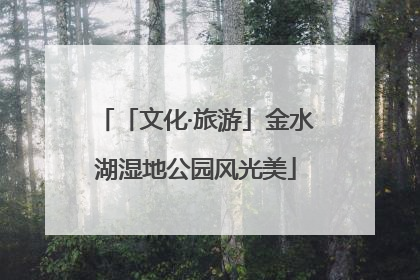 「文化·旅游」金水湖湿地公园风光美