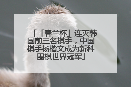 「春兰杯」连灭韩国前三名棋手，中国棋手杨楷文成为新科围棋世界冠军