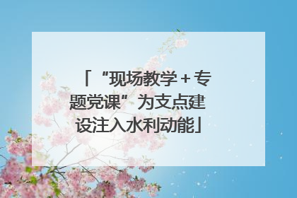 “现场教学＋专题党课”为支点建设注入水利动能