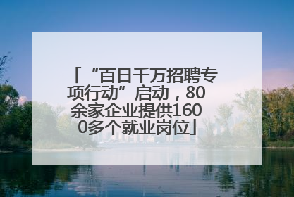 “百日千万招聘专项行动”启动，80余家企业提供1600多个就业岗位