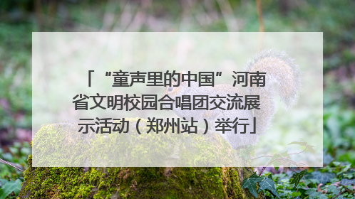 “童声里的中国”河南省文明校园合唱团交流展示活动（郑州站）举行