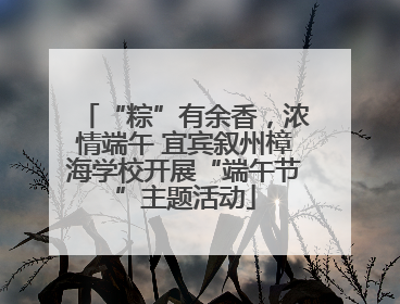 “粽”有余香，浓情端午 宜宾叙州樟海学校开展“端午节”主题活动
