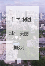 “红树进城” 美丽加分