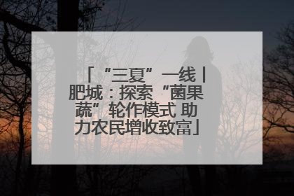 “三夏”一线丨肥城：探索“菌果蔬”轮作模式 助力农民增收致富