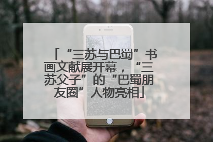 “三苏与巴蜀”书画文献展开幕，“三苏父子”的“巴蜀朋友圈”人物亮相