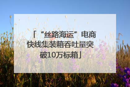 “丝路海运”电商快线集装箱吞吐量突破10万标箱