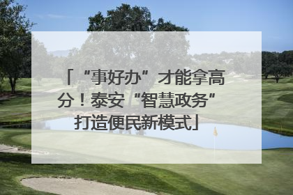 “事好办”才能拿高分！泰安“智慧政务”打造便民新模式