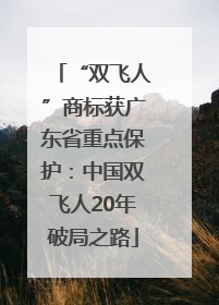 “双飞人”商标获广东省重点保护：中国双飞人20年破局之路