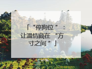 “停狗位 ”：让温情藏在 “方寸之间 ”