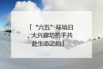 “六五”环境日，大兴廊坊携手共赴生态之约