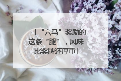 “六马”奖励的这条“腿”，风味比奖牌还厚重