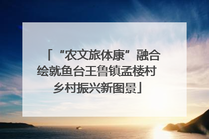 “农文旅体康”融合绘就鱼台王鲁镇孟楼村乡村振兴新图景