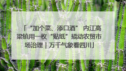 “加个菜、添口酒” 内江高梁镇用一枚“贴纸”撬动农贸市场治理｜万千气象看四川