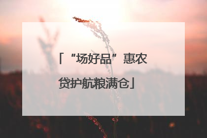 “场好品”惠农贷护航粮满仓