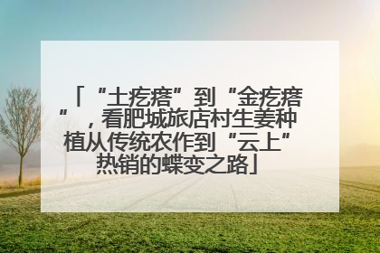 “土疙瘩”到“金疙瘩”，看肥城旅店村生姜种植从传统农作到“云上”热销的蝶变之路