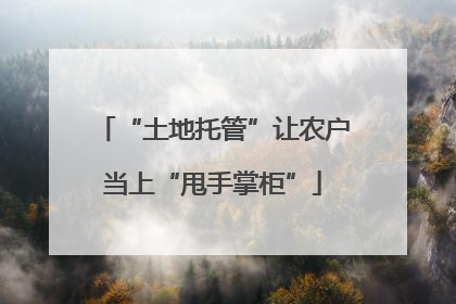 “土地托管”让农户当上“甩手掌柜”