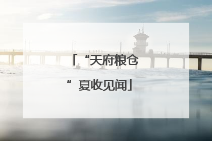 “天府粮仓”夏收见闻
