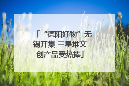 “德阳好物”无锡开集 三星堆文创产品受热捧