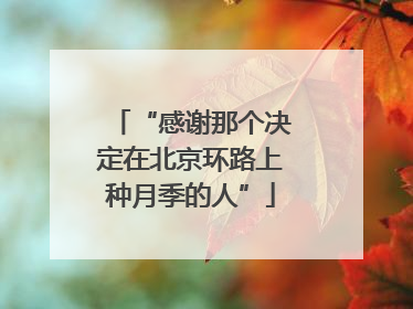 “感谢那个决定在北京环路上种月季的人”