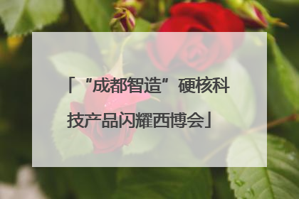 “成都智造”硬核科技产品闪耀西博会