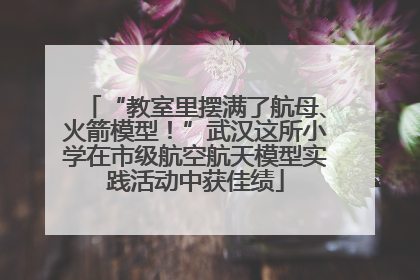 “教室里摆满了航母、火箭模型！”武汉这所小学在市级航空航天模型实践活动中获佳绩