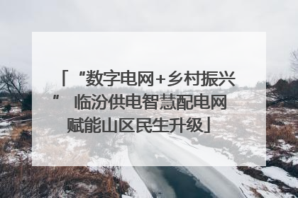 “数字电网+乡村振兴” 临汾供电智慧配电网赋能山区民生升级