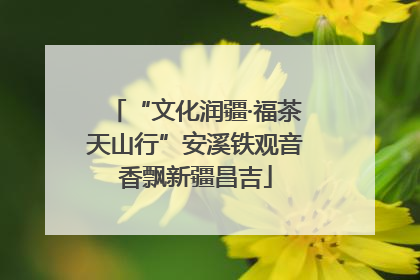 “文化润疆·福茶天山行”安溪铁观音香飘新疆昌吉