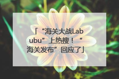“海关大战Labubu”上热搜！“海关发布”回应了