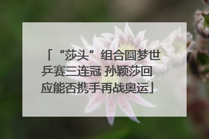 “莎头”组合圆梦世乒赛三连冠 孙颖莎回应能否携手再战奥运