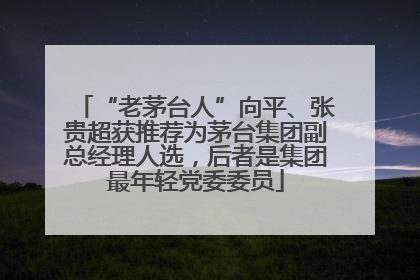 “老茅台人”向平、张贵超获推荐为茅台集团副总经理人选，后者是集团最年轻党委委员