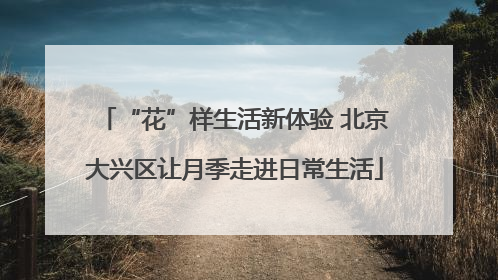 “花”样生活新体验 北京大兴区让月季走进日常生活
