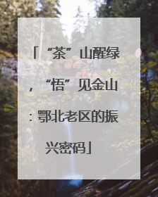 “茶”山醒绿，“悟”见金山：鄂北老区的振兴密码