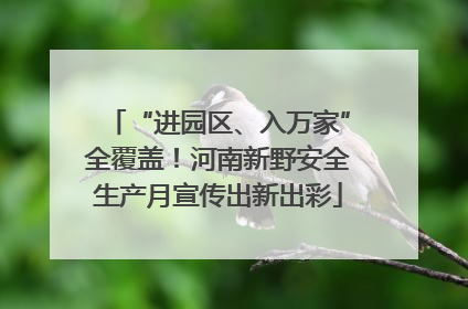 “进园区、入万家”全覆盖！河南新野安全生产月宣传出新出彩