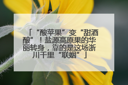 “酸苹果”变“甜酒酿”！盐源高原果的华丽转身，靠的是这场浙川千里“联姻”