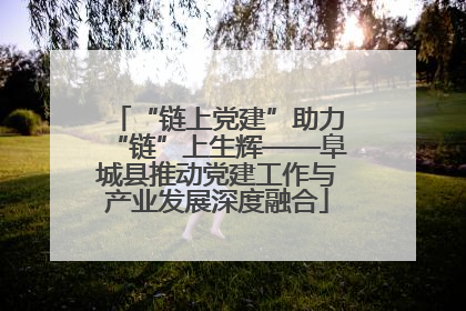 “链上党建”助力“链”上生辉——阜城县推动党建工作与产业发展深度融合