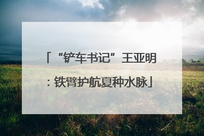 “铲车书记”王亚明：铁臂护航夏种水脉