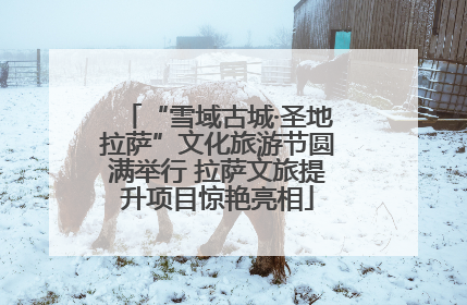 “雪域古城·圣地拉萨”文化旅游节圆满举行 拉萨文旅提升项目惊艳亮相