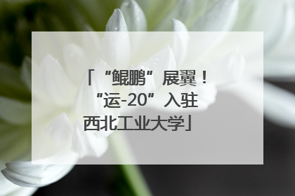 “鲲鹏”展翼！“运-20”入驻西北工业大学