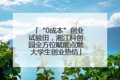 “0成本”创业试验田，湘江科创园全方位赋能点燃大学生创业热情
