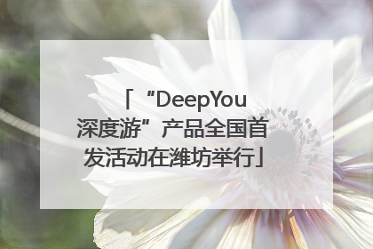 “DeepYou深度游”产品全国首发活动在潍坊举行