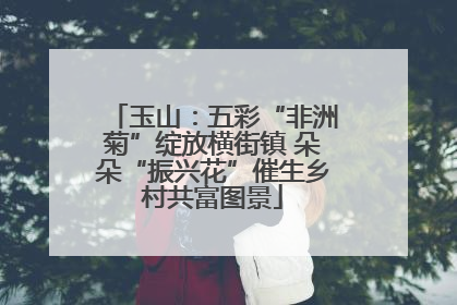 玉山：五彩“非洲菊”绽放横街镇 朵朵“振兴花”催生乡村共富图景
