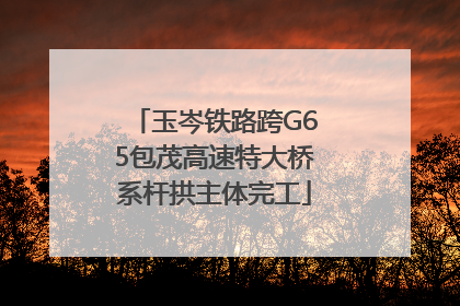 玉岑铁路跨G65包茂高速特大桥系杆拱主体完工