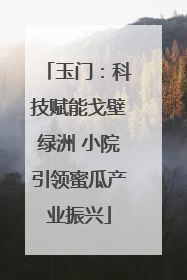 玉门：科技赋能戈壁绿洲 小院引领蜜瓜产业振兴