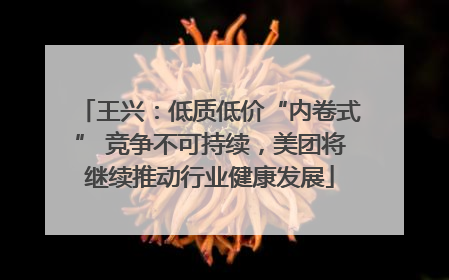 王兴：低质低价“内卷式” 竞争不可持续，美团将继续推动行业健康发展
